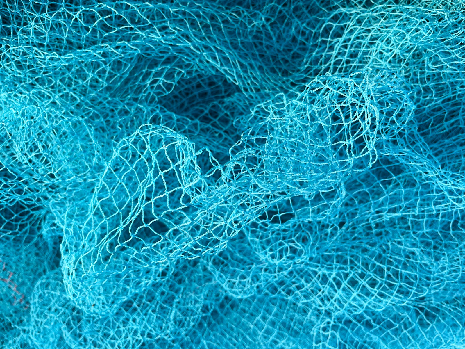a close-up of a net